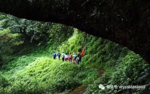 模拟山羊